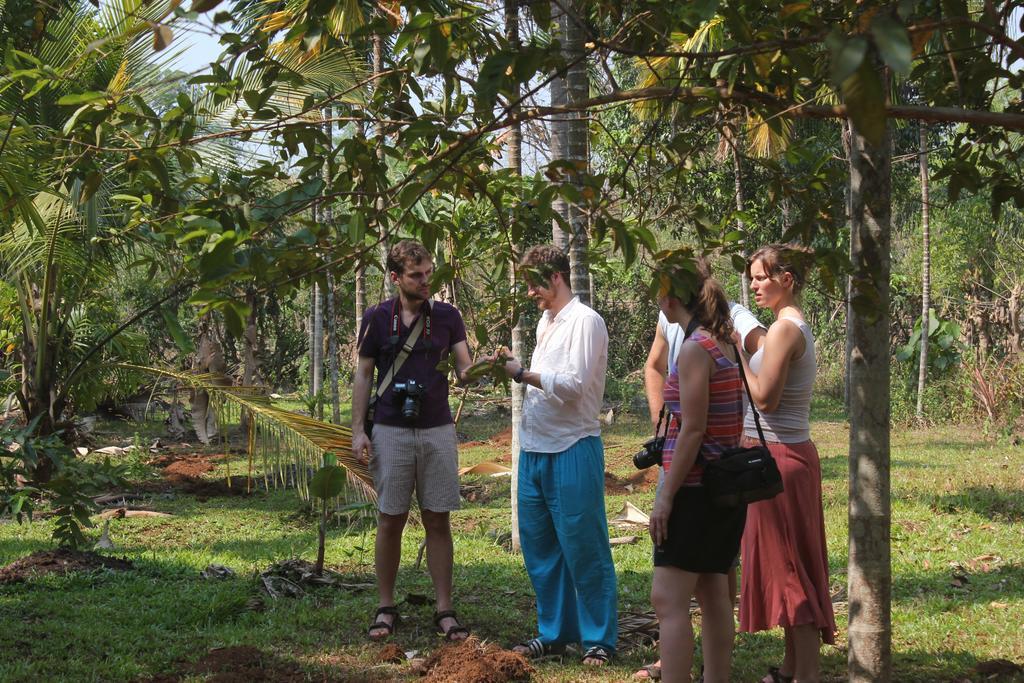 הוילה Cormonem Dudhsagar Plantation מראה חיצוני תמונה