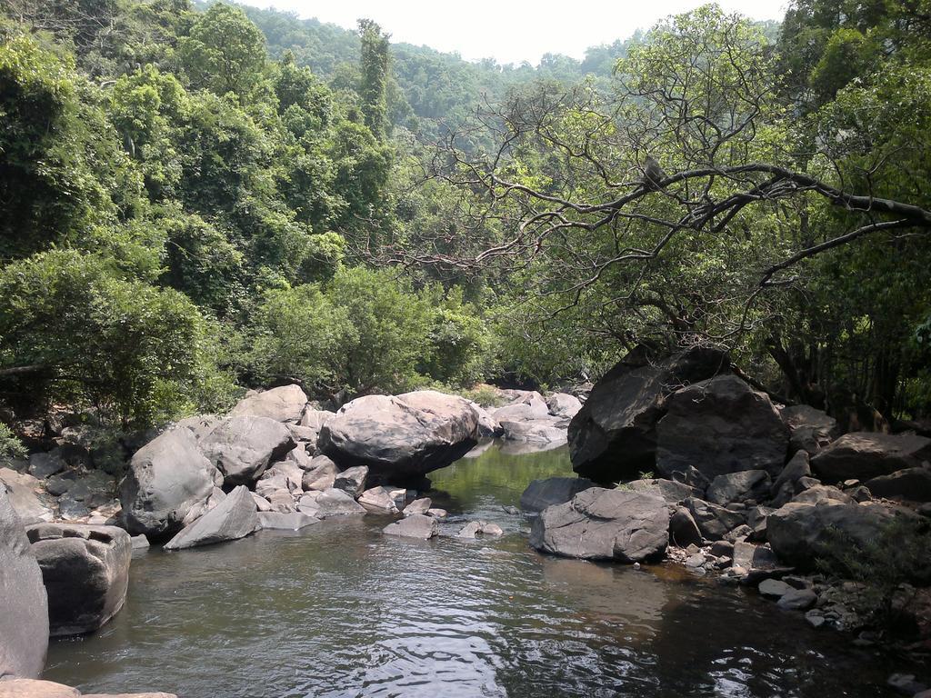 הוילה Cormonem Dudhsagar Plantation מראה חיצוני תמונה