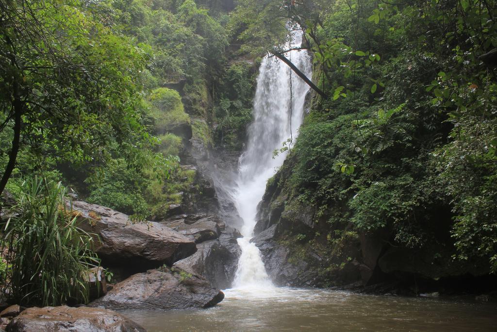 הוילה Cormonem Dudhsagar Plantation מראה חיצוני תמונה