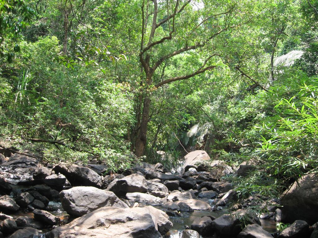 הוילה Cormonem Dudhsagar Plantation מראה חיצוני תמונה