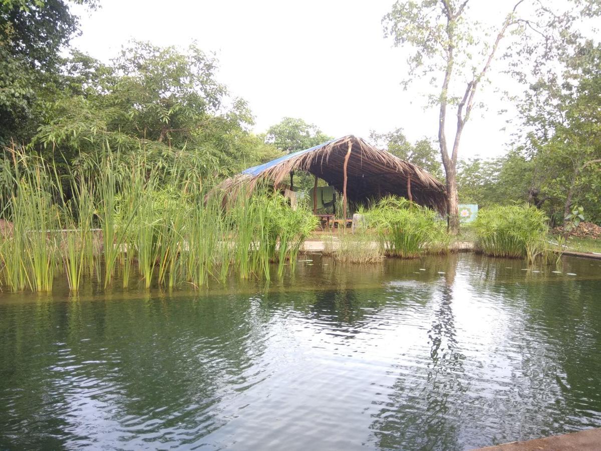 הוילה Cormonem Dudhsagar Plantation מראה חיצוני תמונה