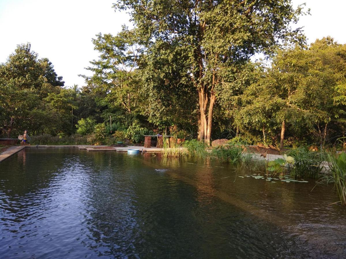 הוילה Cormonem Dudhsagar Plantation מראה חיצוני תמונה